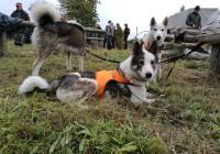 IMG_20161015_154353.jpg